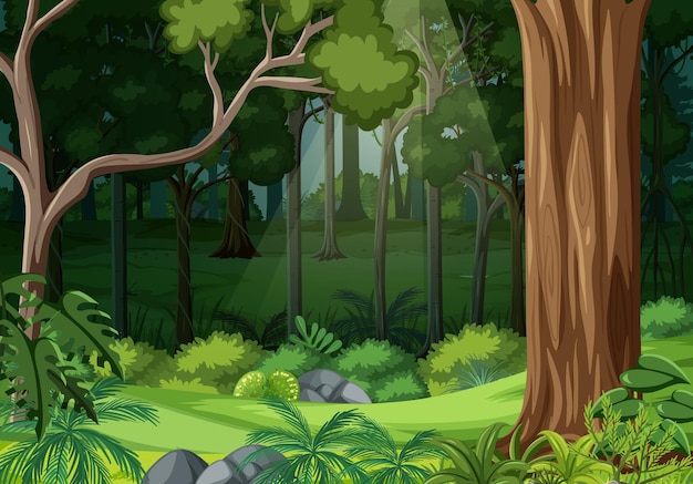 Vector nature forest landscape background