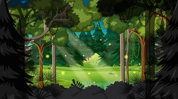 Vector nature forest landscape background