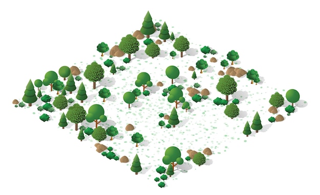 Vector nature forest landscape of isometric illustration with green tree grass