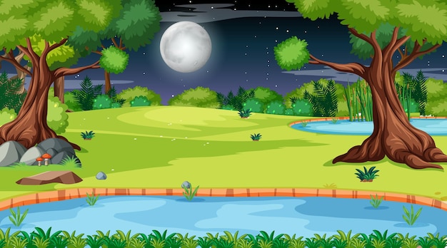 Nature forest landscape at night scene with long river flowing through the meadow