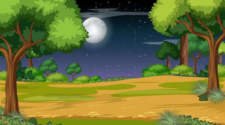 Vector nature forest landscape at night scene