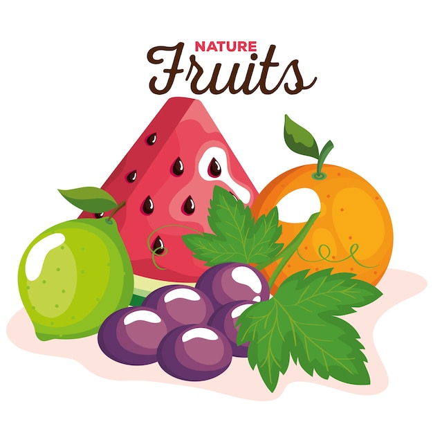 Nature fruits  set , healthy organic food theme  illustration