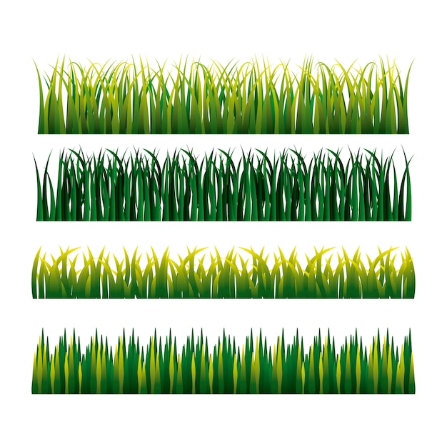 Nature grass field background