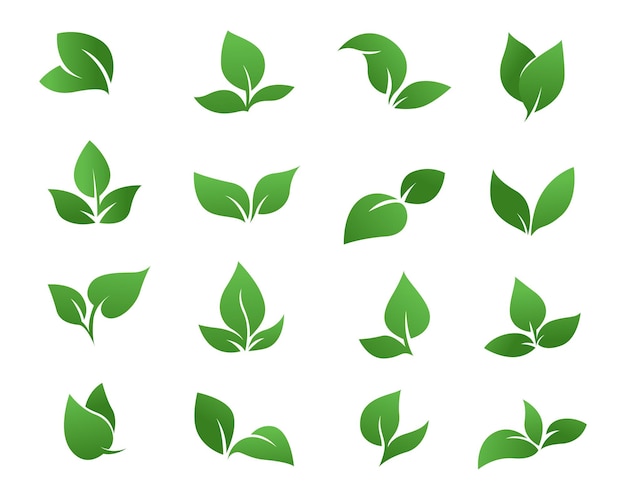 nature green leaf logo collection logo