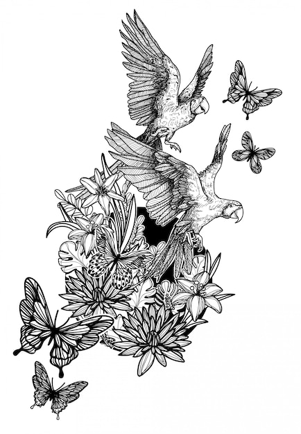 In bianco e nero di schizzo degli uccelli e della farfalla dei fiori del disegno della mano della natura isolato