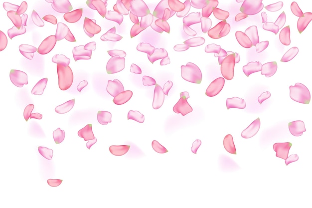 Vector nature horizontal backgroundpink falling sakura petals