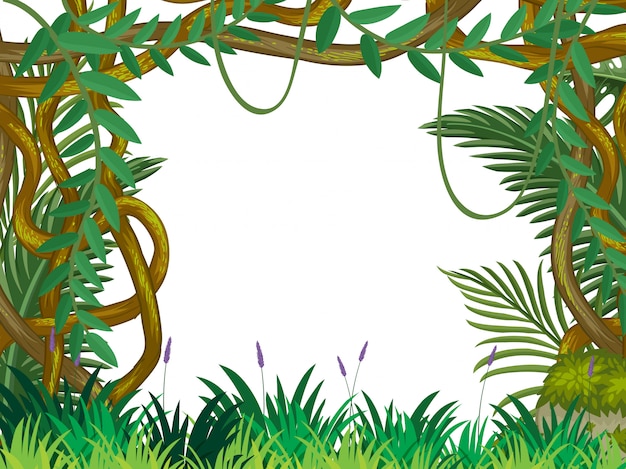 Vector a nature jungle template