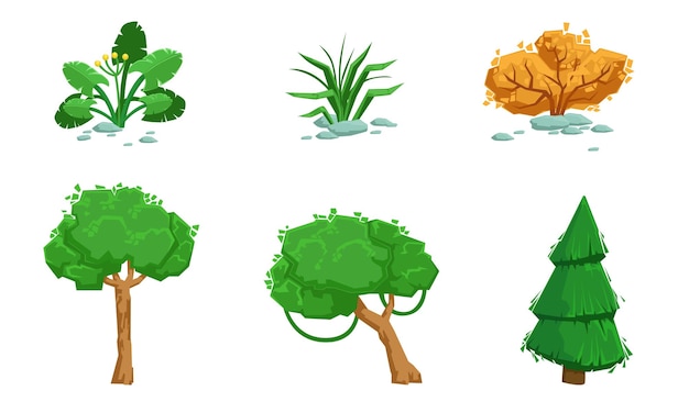 Nature Landscape Elements Set Summer and Autumn Trees Plants Grass Vector Illustration