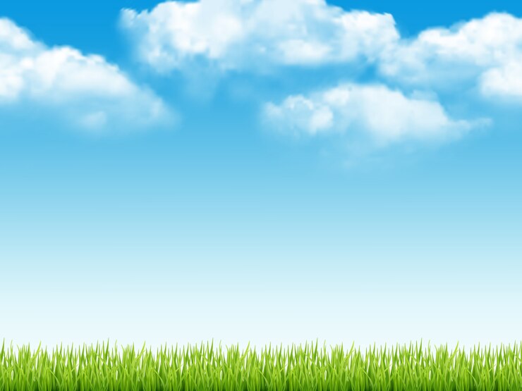 Vector nature landscape. fresh background with green grass blue sky with clouds dream field  realistic seamless pattern