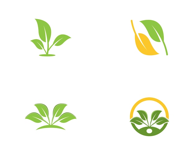 Nature leaf logo template