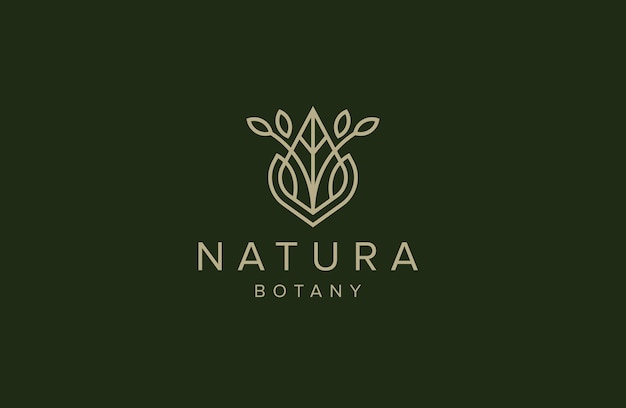 Vector nature leaf tree growth logo icon design template. garden, park, beauty, spa flat vector