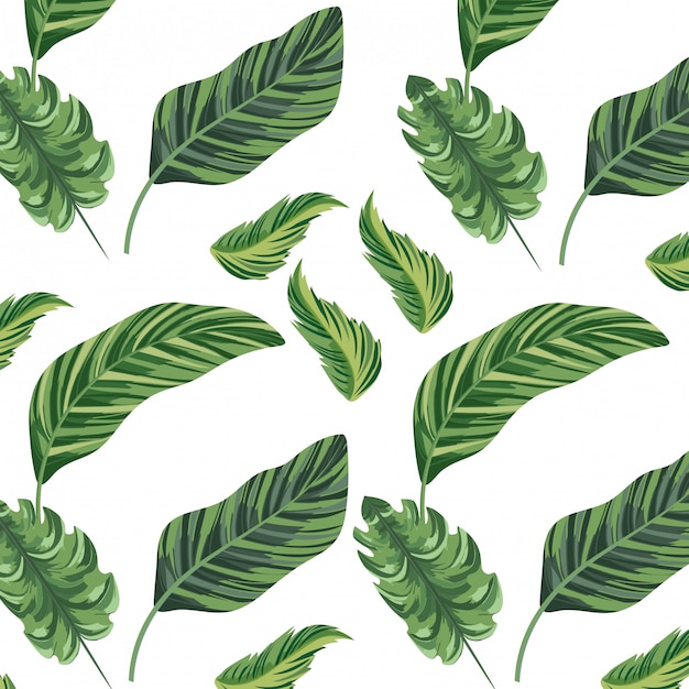 Vector nature leafs cartoon