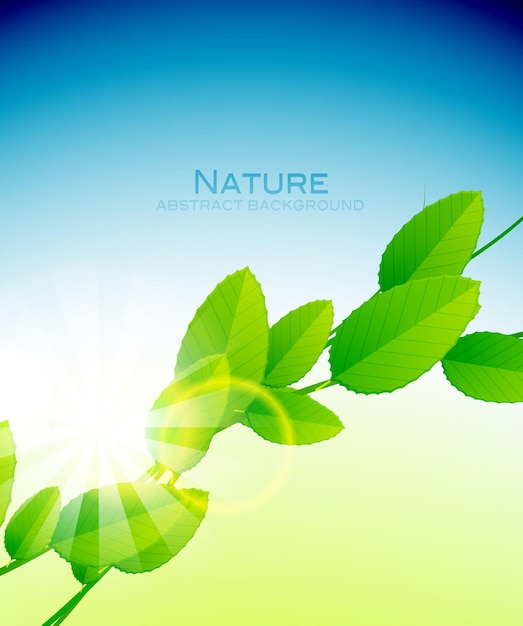 Vector nature leaves background