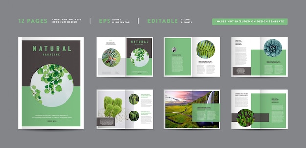 Nature magazine design | editorial lookbook layout | multipurpose portfolio | photo book design