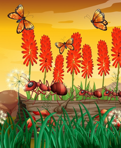 Nature scene with butterflies and ants on log