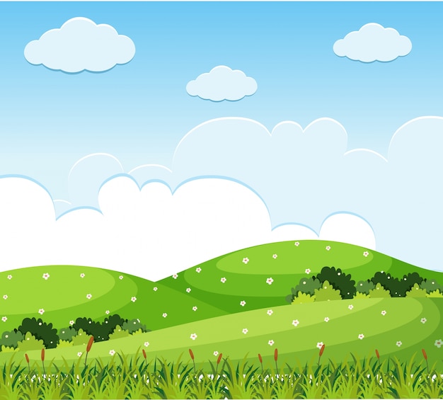 Nature scene with flowers on the hills