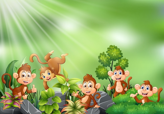 Vettore scena della natura con un gruppo di cartoni animati scimmia