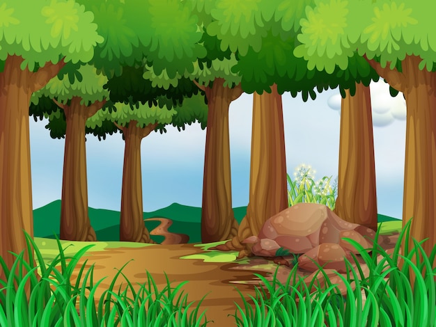 Vector nature scene with hiking track in the forest