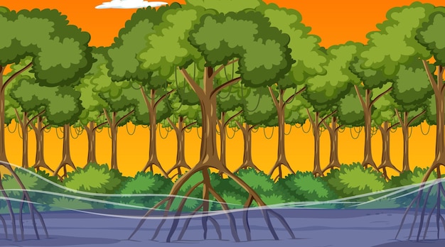 Vector nature scene with mangrove forest at sunset time in cartoon style