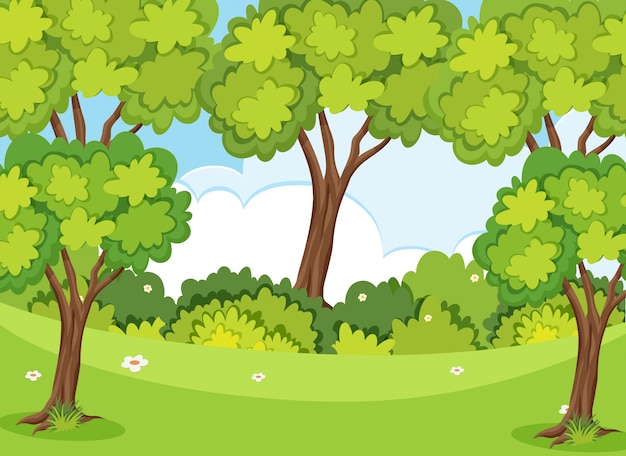 Vector nature scene with trees and lawn