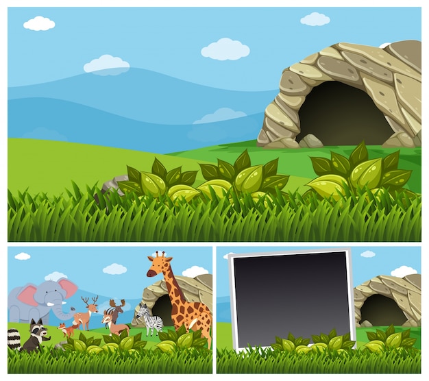 Vector nature scenes with wild animals by the cave