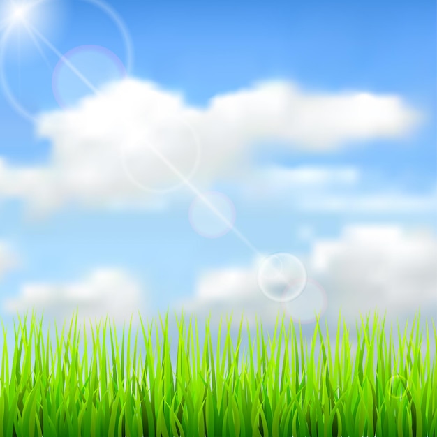 Nature spring background with the sky, clouds, grass and glares.