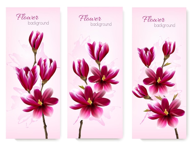 Nature spring banners with beautiful magnolia branches Vector