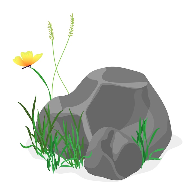 Vector nature stone with grass