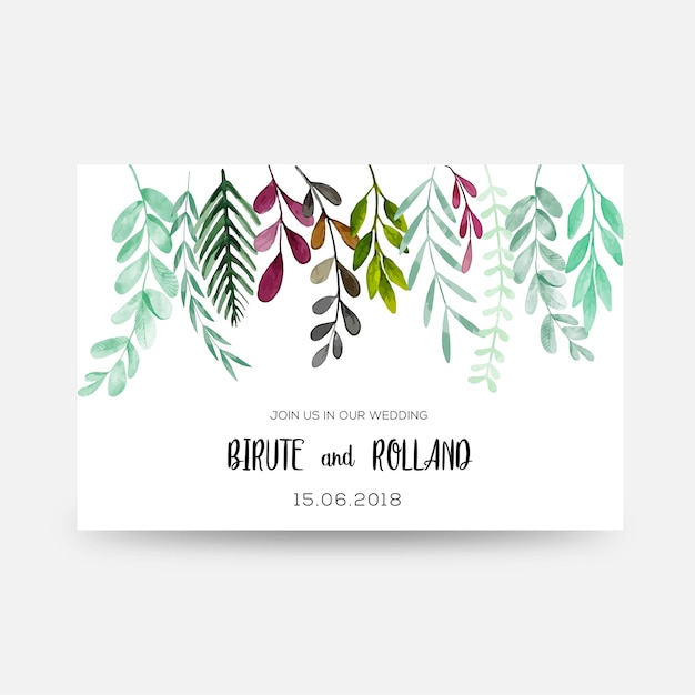 Vector nature summer card