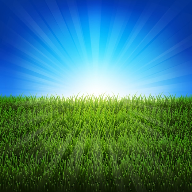 Vector nature sunburst background with green grass