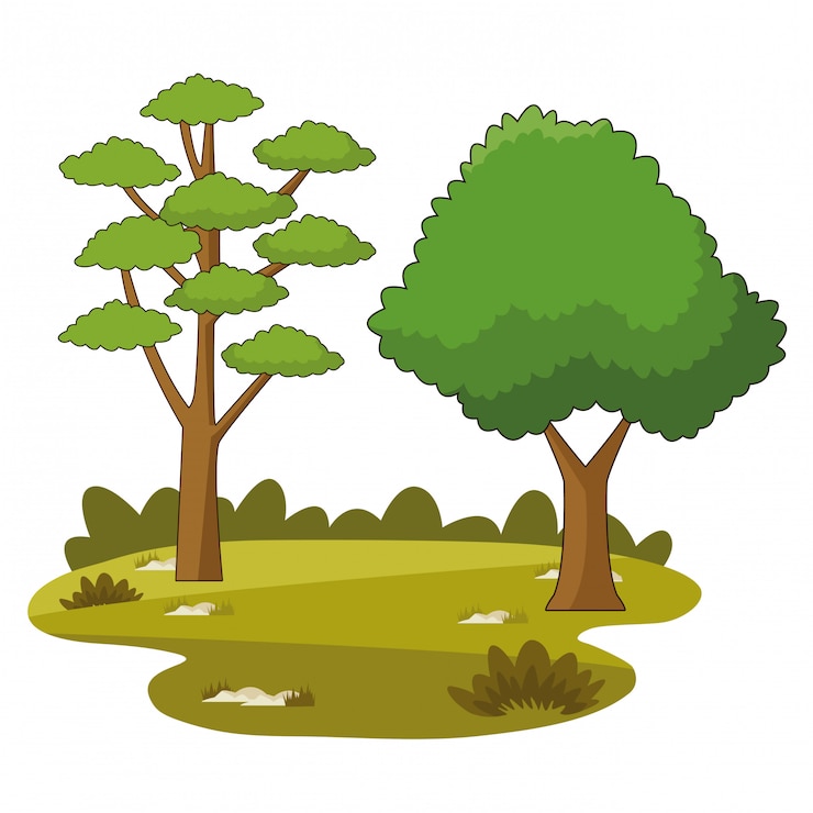 Vector nature trees park cartoons
