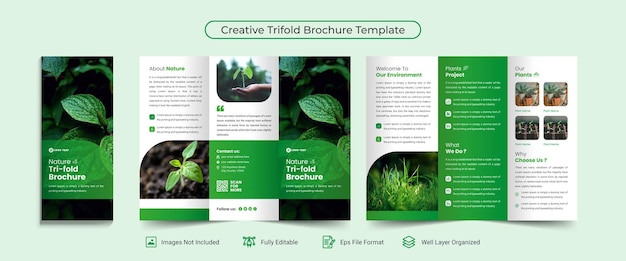 Nature trifold brochure design template