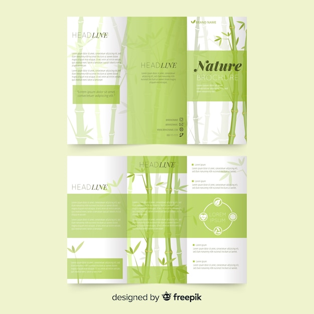 Vector nature trifold brochure