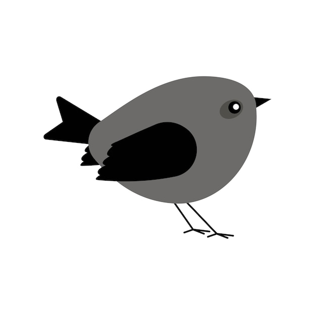 Nature vector bird isolated illustration