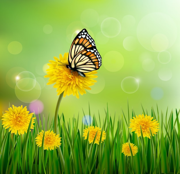Nature with dandelions and a butterfly