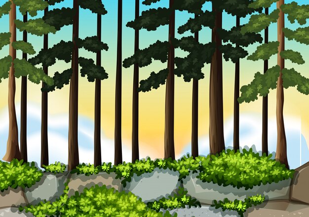 A nature wood background