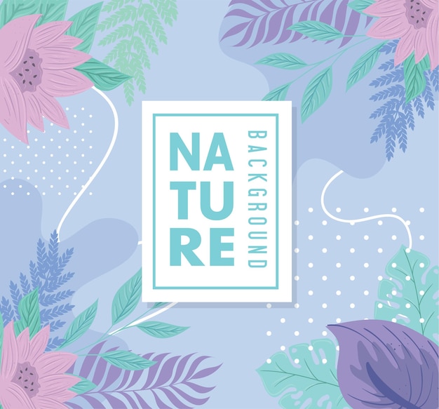 Naturebackgroundflowersandtropicalnatureleaves