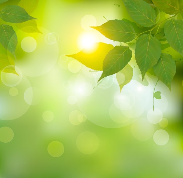 Vector natuur achtergrond met groene lente bladeren.