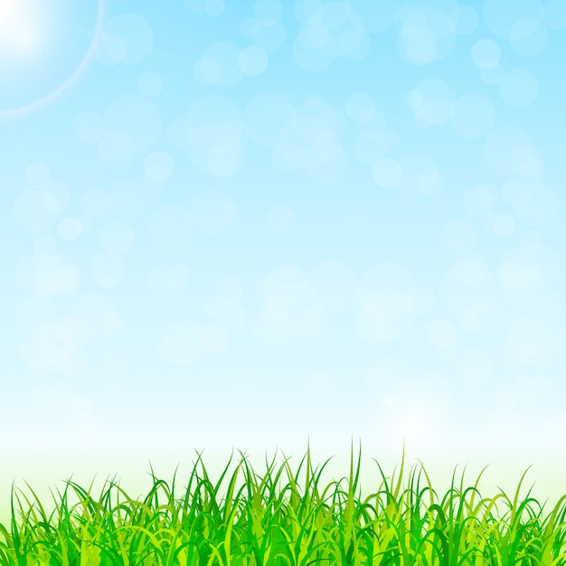 natuur achtergrond vector
