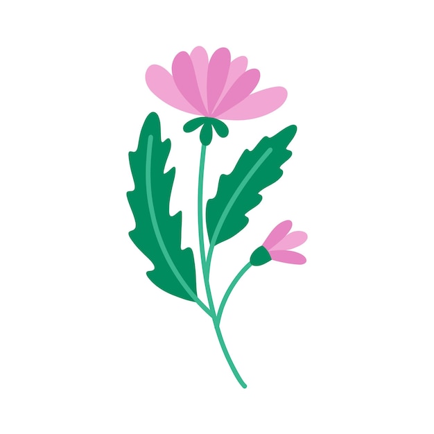 Vector natuur roze bloem botanisch element bloemenboeket vectorbloemen