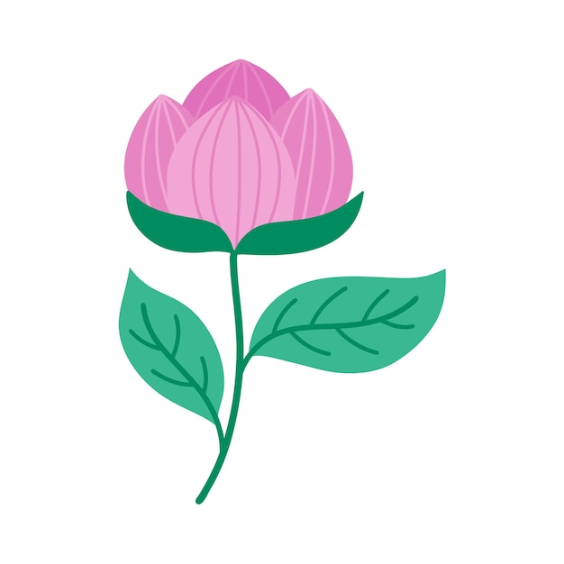 Natuur roze bloem botanisch element bloemenboeket vectorbloemen