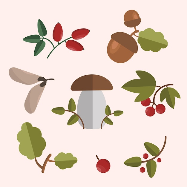 Vector natuur vector set takken bessen paddestoelen eikels illustratie