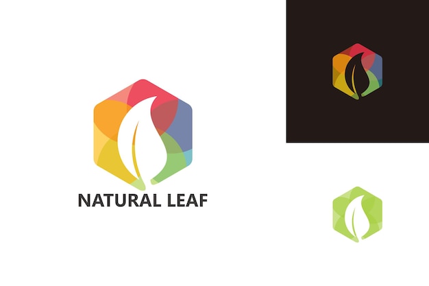 Natuurlijk blad Logo sjabloonontwerp Vector embleem ontwerpconcept Creatief symboolpictogram