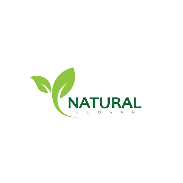 Natuurlijke blad natuur eco Logo ontwerpsjabloon