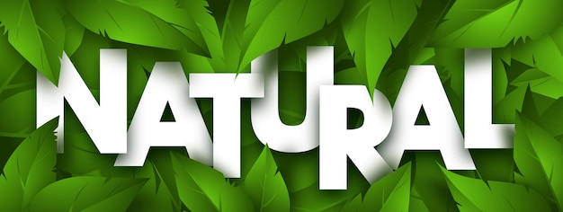 Vector natuurlijke conceptbanner met weelderig groen blad