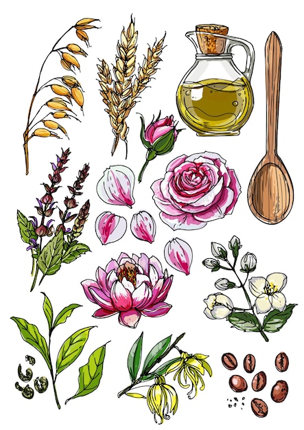 Natuurlijke cosmetica en medicijnen. een set kruiden en bloemen schilderde een zwarte lijn op een witte achtergrond.