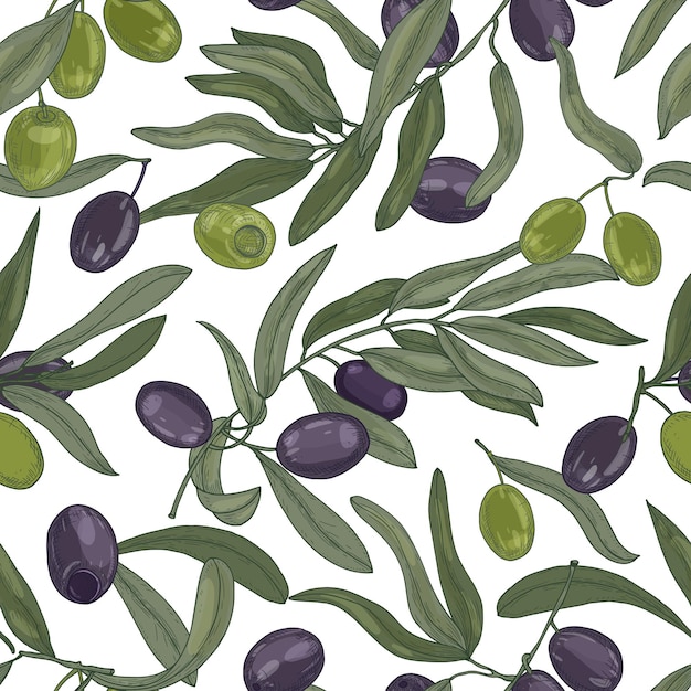 Natuurlijke naadloze patroon met olijfboomtakken, bladeren, zwarte en groene rijpe vruchten of steenvruchten op witte achtergrond. Realistische hand getrokken vectorillustratie voor stof print, inpakpapier.