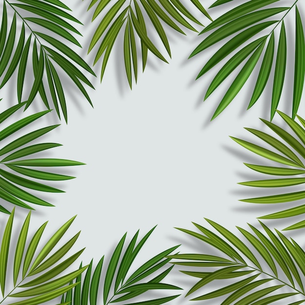 Natuurlijke realistische groene palmblad tropische achtergrond vectorillustratie