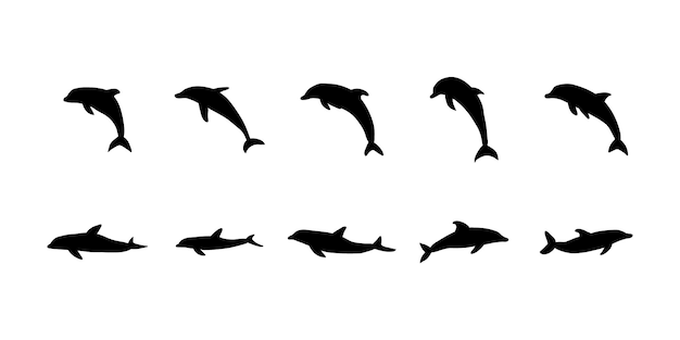 Nautical Dolphin Sea Underwater animal Vector illustration