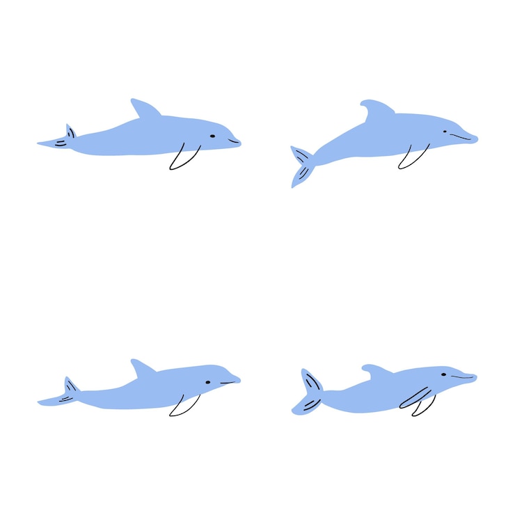 Vector nautical dolphin sea underwater animal vector illustration